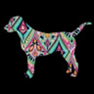 Meet your Posher, Lane